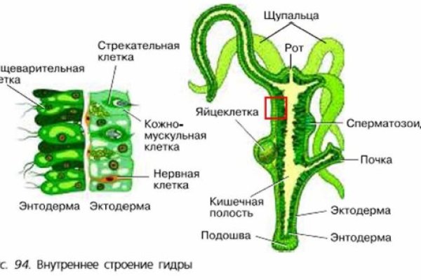 2krn ссылка