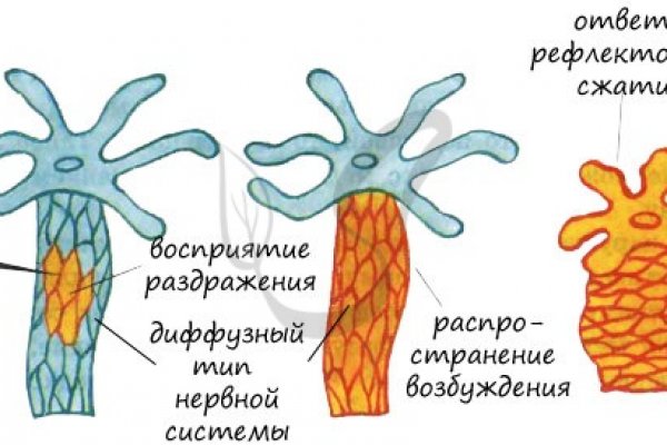 Кракен зеркало store