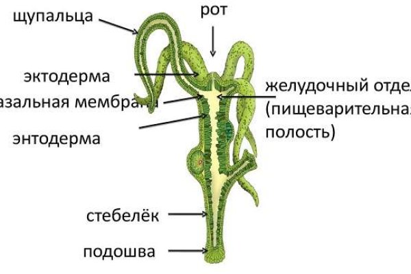 Как найти ссылку на кракен