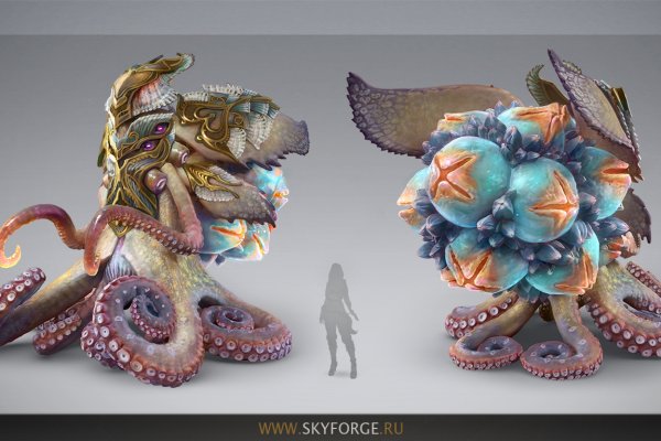 Kraken17 at